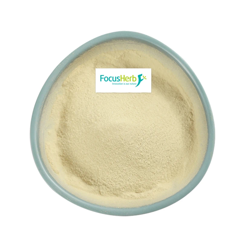 
FocusHerb Pure 99% Miu Vitamin A Palmitate Powder organic vitamin a water soluble 