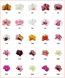 Artificial Flower Wholesale New Feel PU Phalaenopsis Home Dining Table Flower Decoration 9 Heart Phalaenopsis