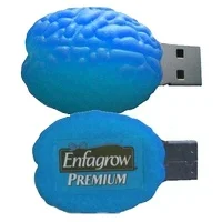 Brain Shaped USB Flash Drive for medical gift