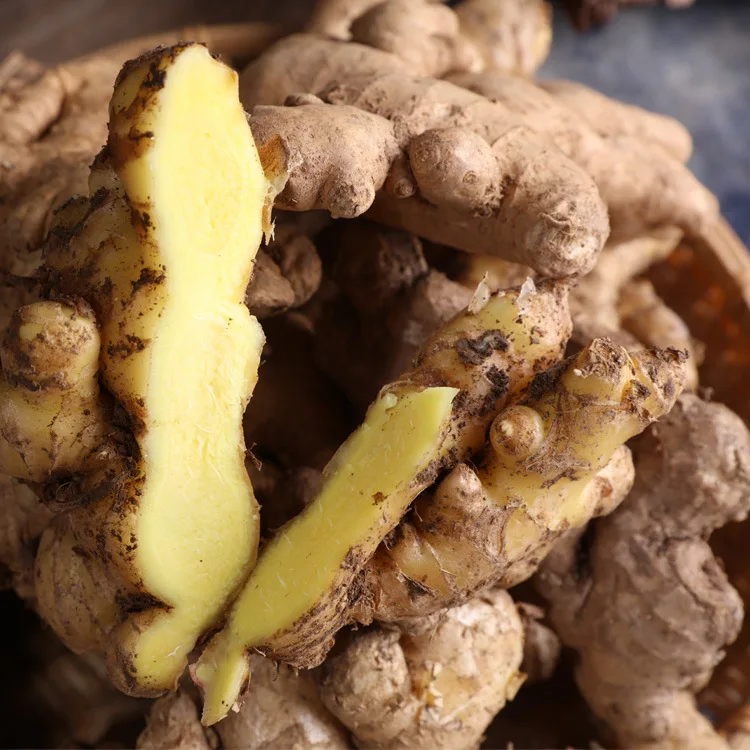 To Europe From Factory Exporting New Season Fresh Ginger