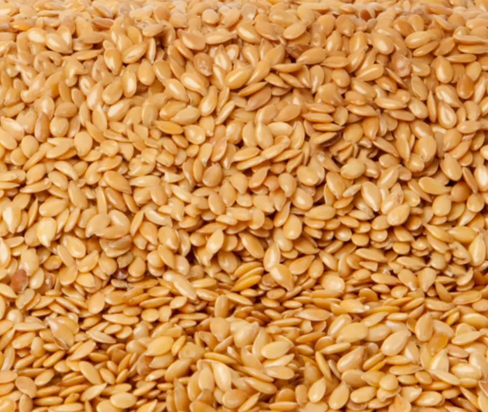 
flaxseed golden linseed 