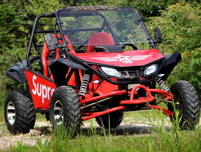 Go Kart Engines Go Kart Wheels And Tires Hot Sale Wholesales 250W 36V Electric Go Kart For Adult