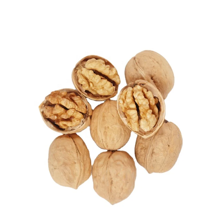 Wholesale Large Size High Quality and Cheap Walnut and Walnut kernels from Xinjiang