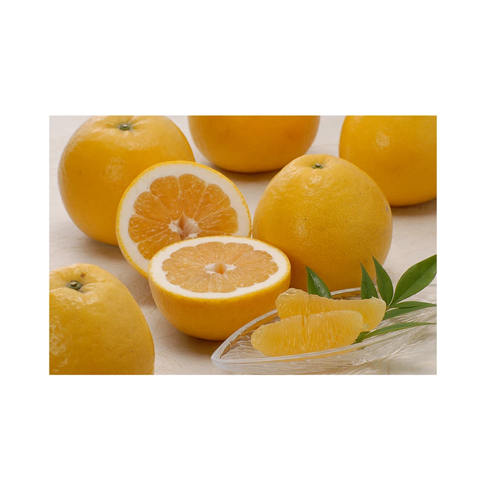 Japanese wholesale bulk fresh citrus dietary fiber with good quality