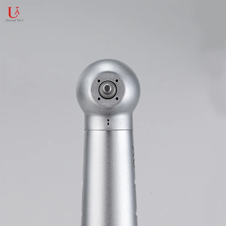Custom Design Bur Will Not Jump Out When Rotating 2 Holes Turbine China Dental Handpiece