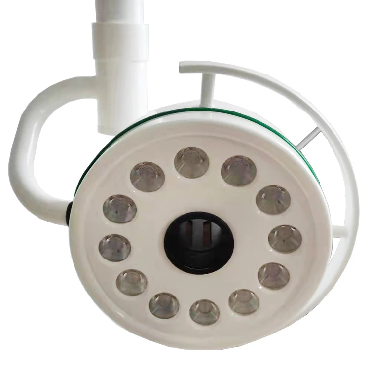 Wall-mounted medical examination lamp and surgical lamp for veterinary use in pet hospitals
