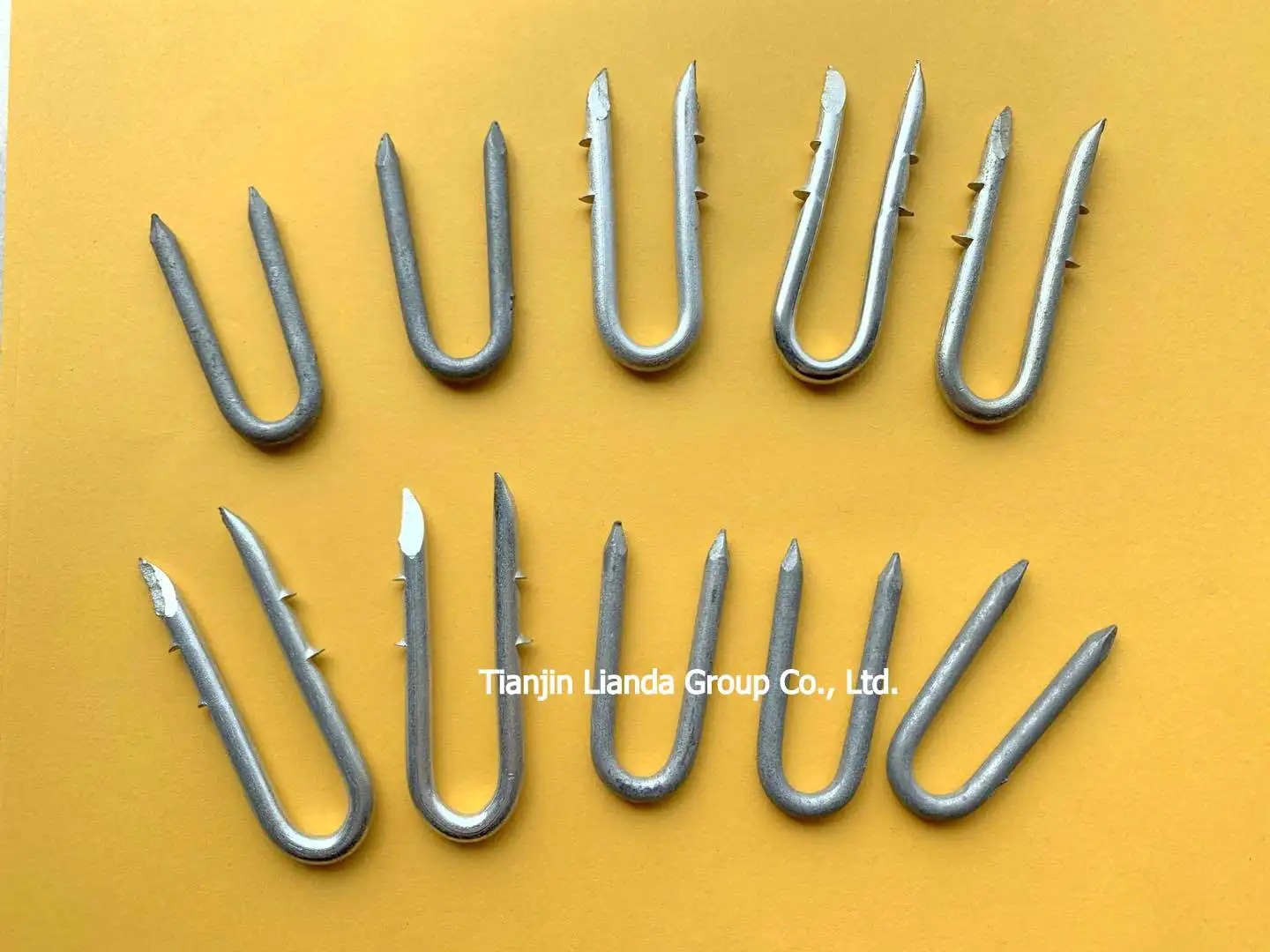 
Polish or E.G or H.D.G U Fence Staple 