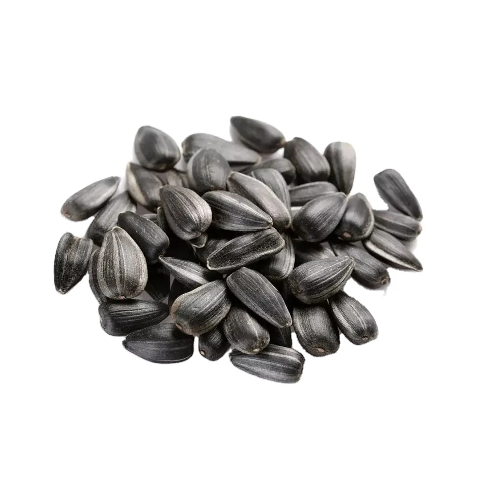 Sunflower Seeds In Cheap Price