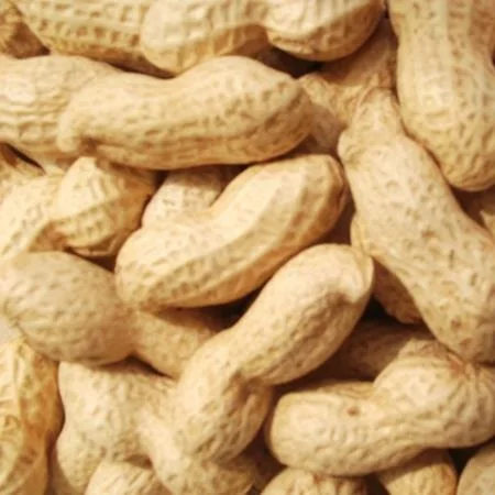 Red peanut blanched peanut kernels Bold Peanuts Blanched Peanuts Raw Peanut in Shell