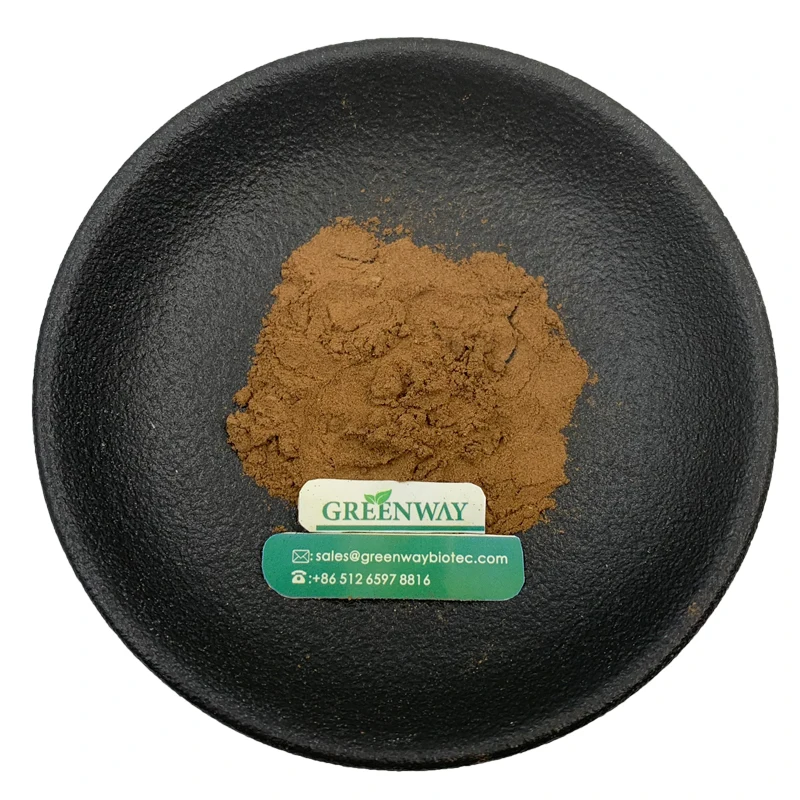 Natural 10:1 Papaya Seed Extract Powder