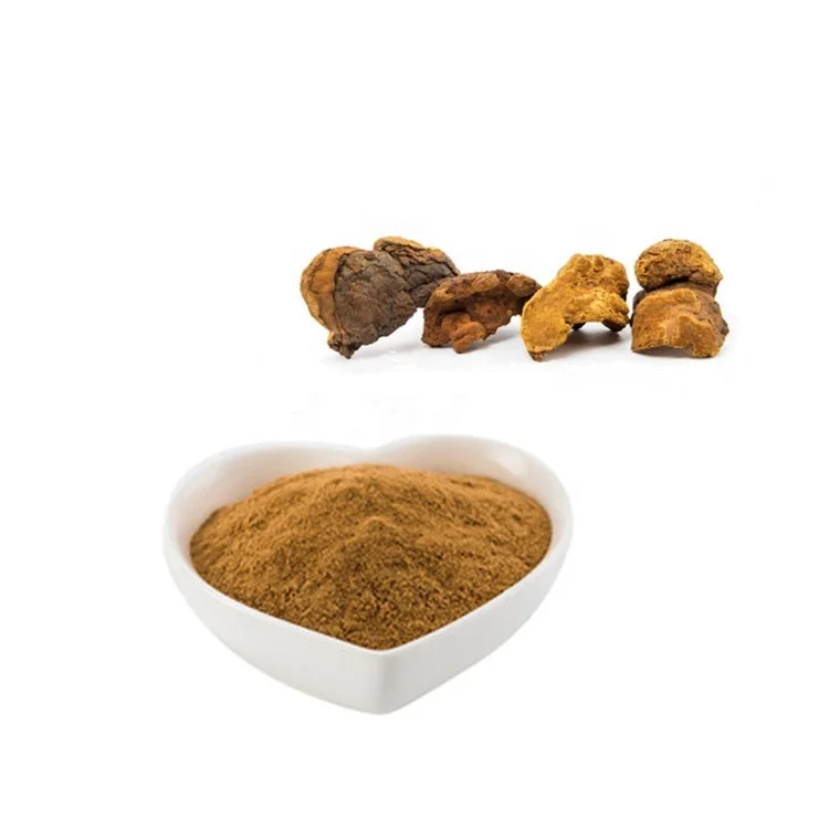 100% Bulk Price Phellinus Linteus Extract Organic Health Food Supplement Sample Available