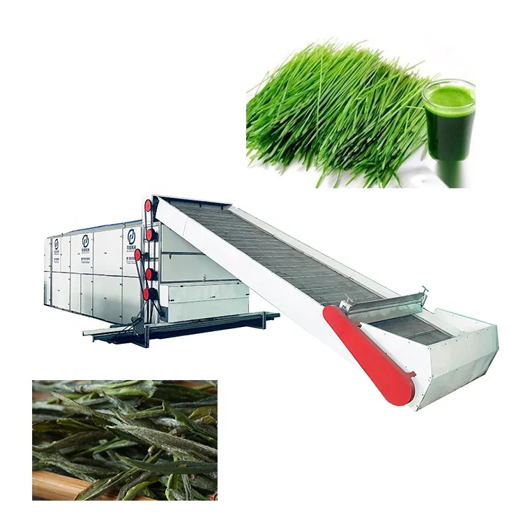 Alfalfa Drying Machine Hay Tea Leaf Herb Seaweed Dryer for Animal Feed