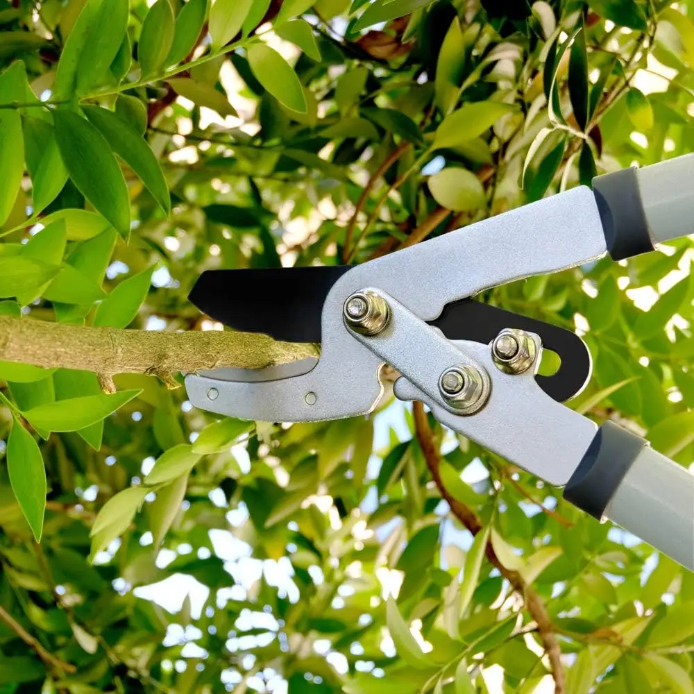 Custom pruning shears garden tools ergonomic grip 3pcs garden shears lopper set pruning shears multifunctional