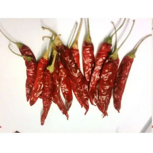 Sannam и teja chilli россыпью экспортер для горячих чили перец Red Max металлическая бутылка для мелкой стружки Тяжелая стильная упаковка цвет Чили