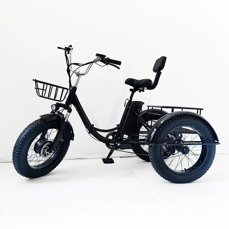 Three Wheels Adult Cargo Electric Bike 20 Inch Triciclo Electric Trike 350W Motor foldable alloy frame 3 Wheel E Bike Tricycle