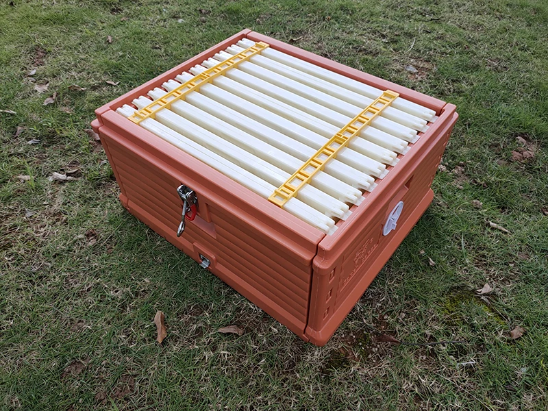 Langstroth Beehive Best price 2 layers 10 frames langstroth bee hive