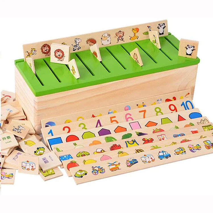 Number and Fruit Sorting Logic Classification Knowledge Box
