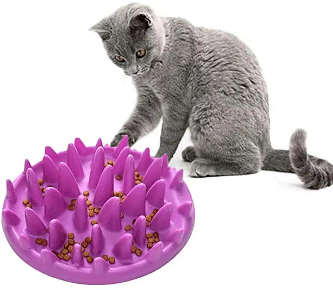 Cat Catch Interactive Feeder - Slow Feed Bowl Anti-gulping Bloat Stop Pet Bowl for Dog Puppy
