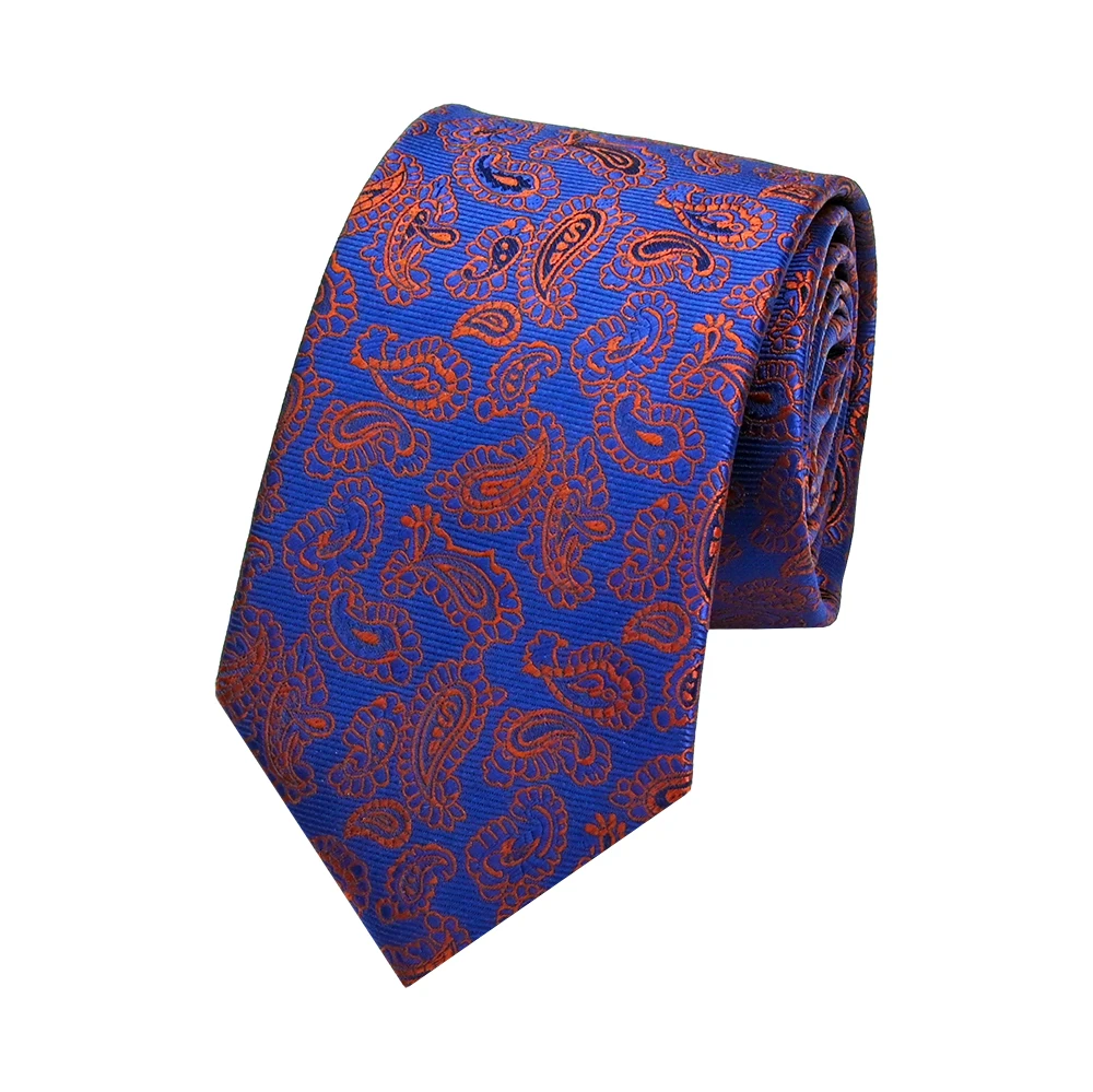 YiLi Jacquard Handsome Microfiber Polyester Woven Paisley Import Tie