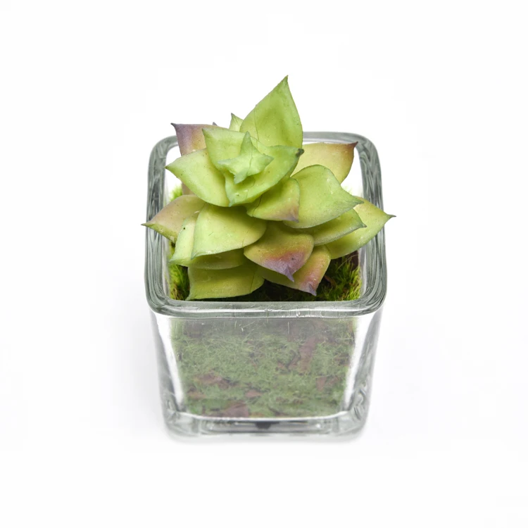 Hot Selling Artificial Potted Plant, Faux Tabletop Greenery For Interior Decoration