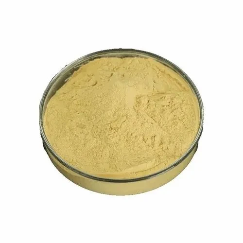 High Purity Cosmetic Raw Material Chitosan Oligosaccharide Powder Chitosan Powder