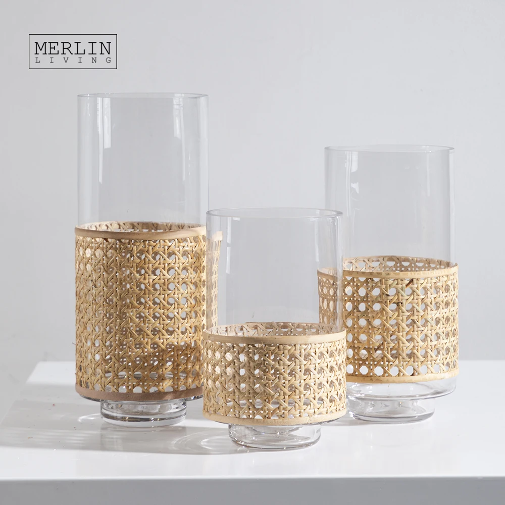 Merlin Living Rattan Glass Vase Decoration Rustic Garden Glass Flower Vase For Cylinder Glass Vase