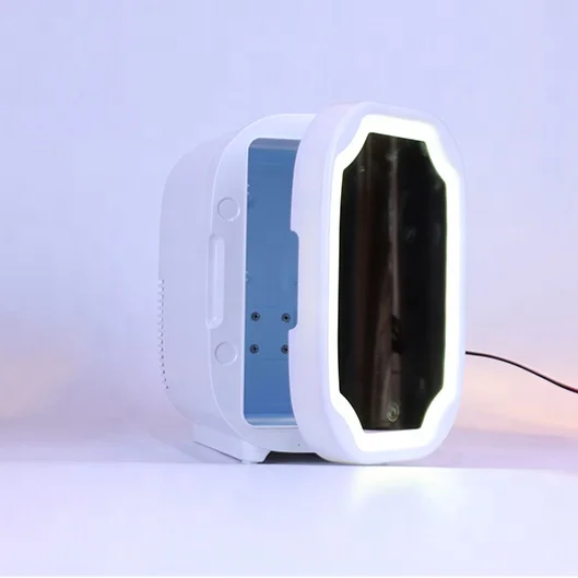 Portable Custom Home Use Mirror LED Light Cosmetic Makeup Skincare  Beauty Mini Fridge