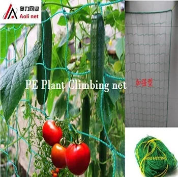 Plant climbing net.Plant supporting net