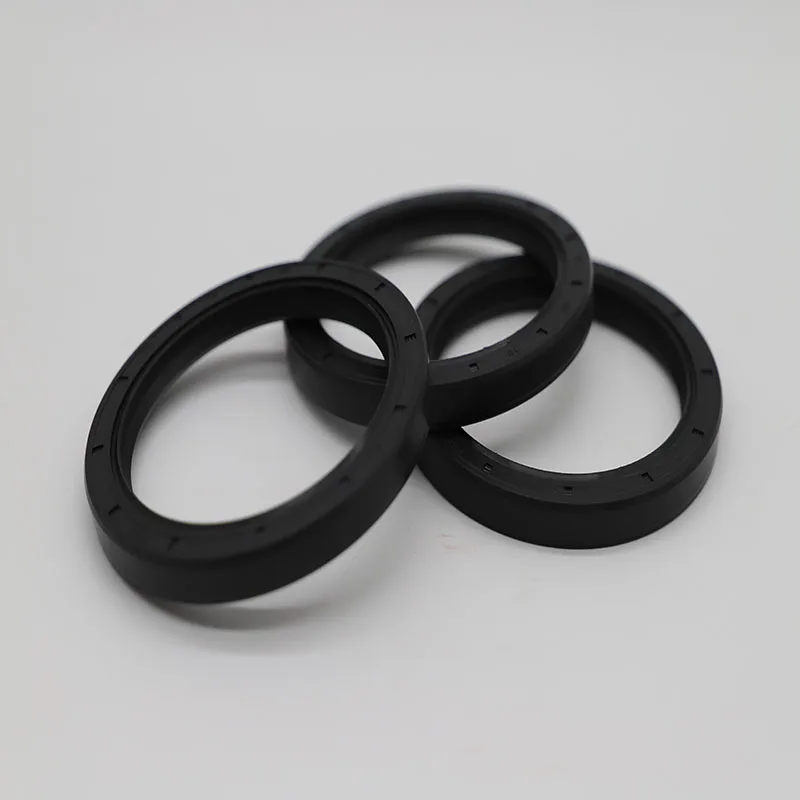 China Good Quality Competitive Price NAK Oil Seal NBR FKM Rubber Seal TC Oil Seal