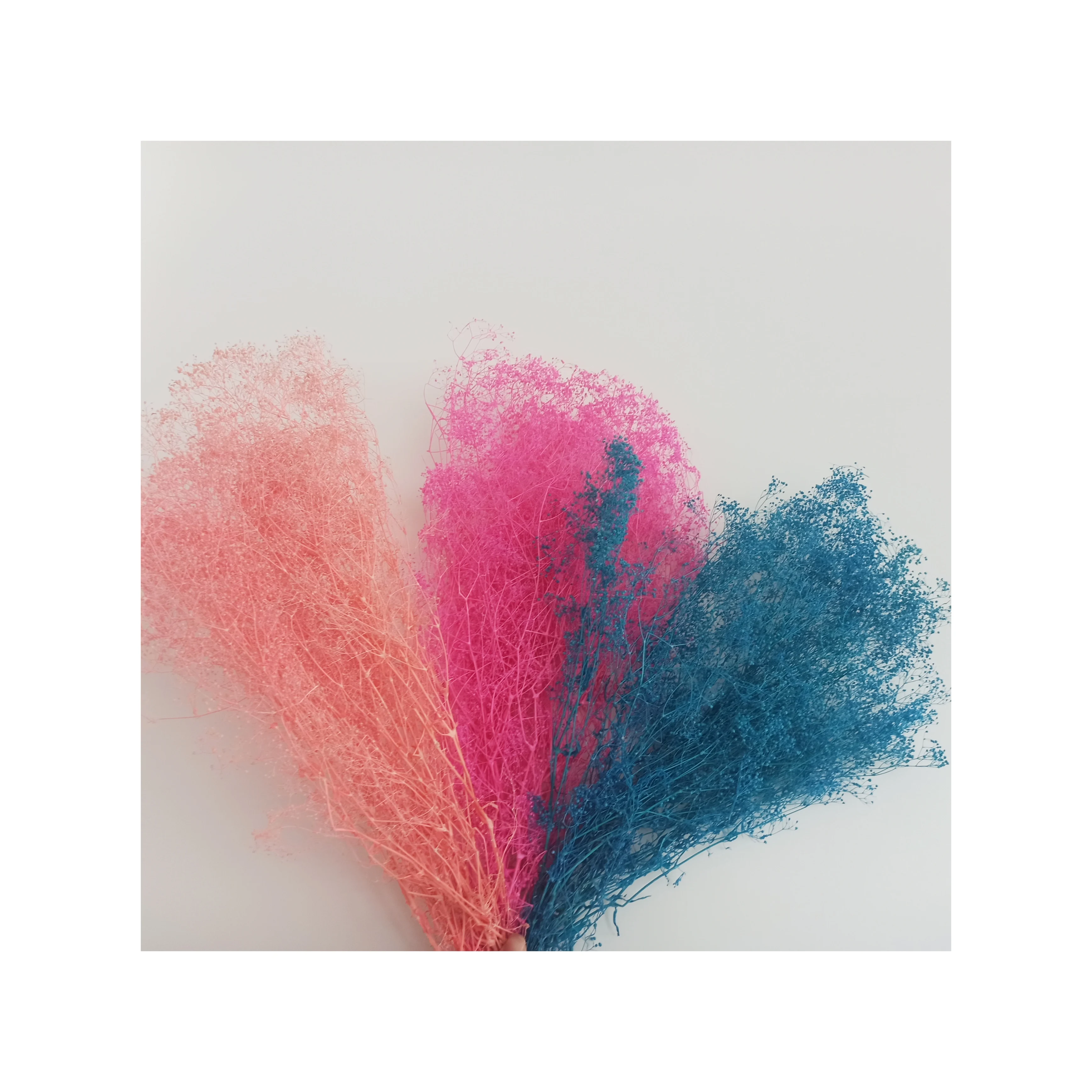 Ins Popular Dry the Best Gift Beautiful Preserved Million Star Flower Bouquet Babybreath for Celebration