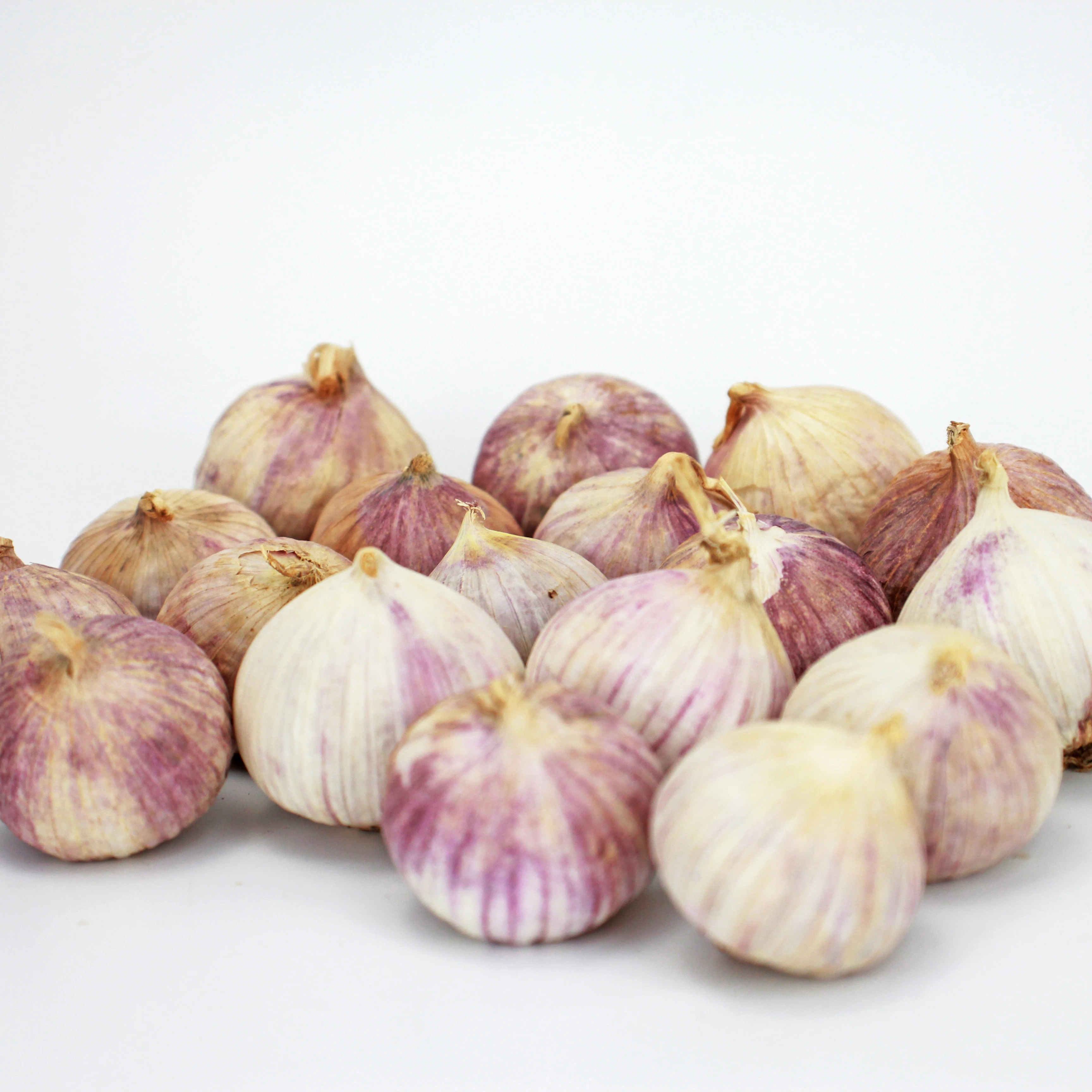 New Purple Garlic Pearl Purple Solo Garlic Wholesale At A Low Price Top Quality Peeled Garlic