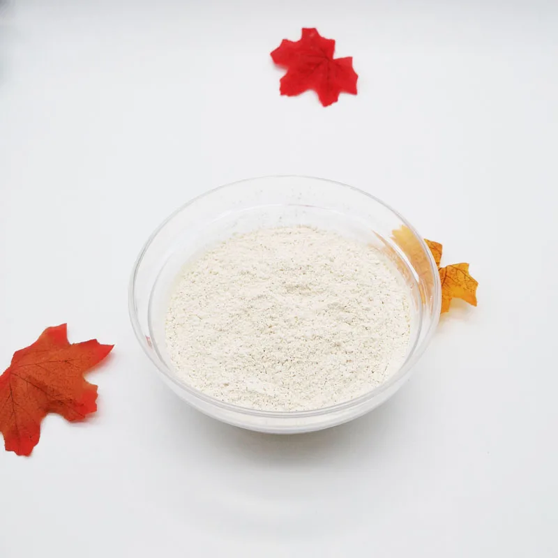 
Good Quality Vegan Protein Best Price from Rice 