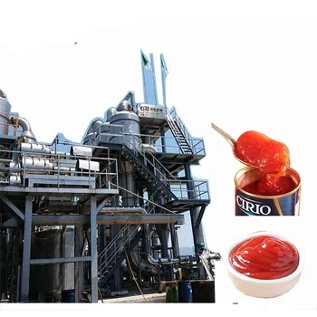 Industrial turnkey solution dried tomato powder production line of tomato puree