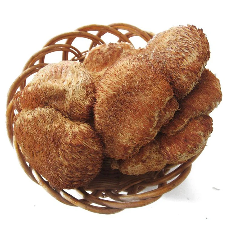 Organic Medicinal Mushroom Powder Premium Plant Extract
