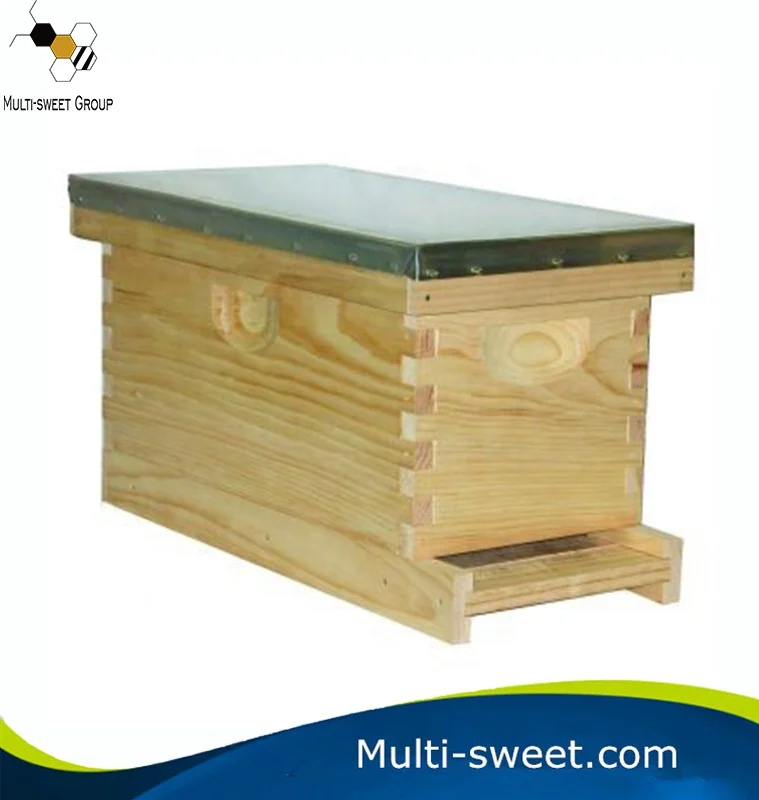 Queen Rearing Beehive 5 Frame Nuc Box For Beekeeping Nuc Box Beehive