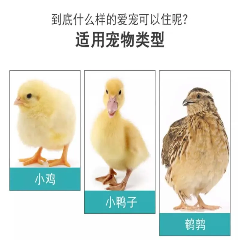 Home Use Breeding cage chicken coop chicken nest automatic manure cleaning duck cages barbed wire outdoor balcony poultry cage