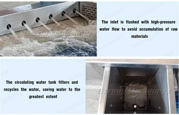 Celery Spinach Wash Green Leafy Vegetable Clean Machine