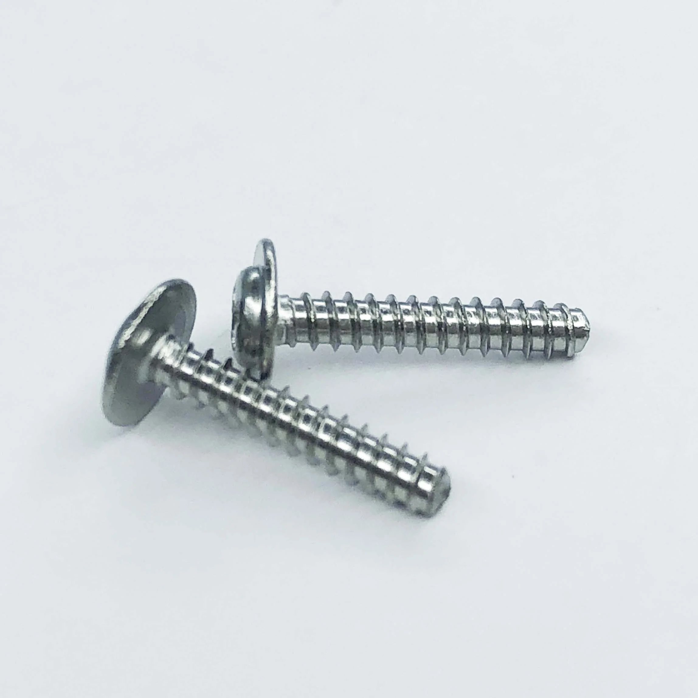Screw Manufacturer Custom Made SUS304 SUS316 Pan Washer Head Self Tapping Screw Sheet Metal Screws