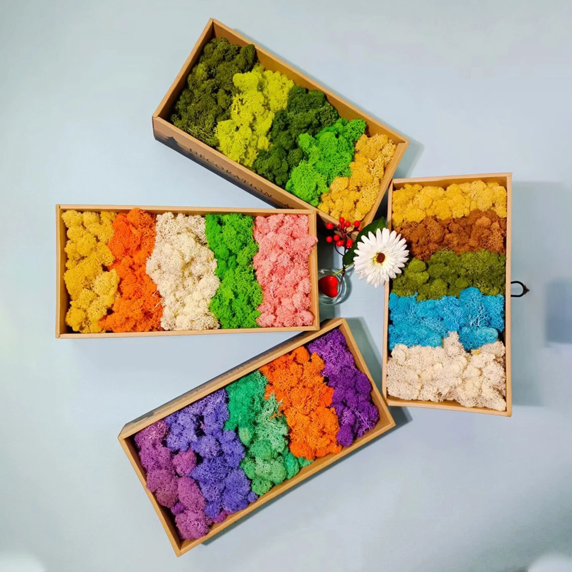 Wholesale hot sale natural green stabilized moss musgo preservado 500g colorful reindeer live preserved moss bulk