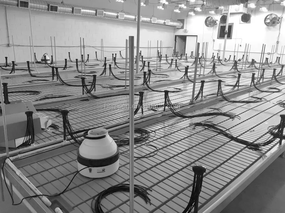 Mobile Hydroponic Rolling Benches Vertical Grow Racks for Sale