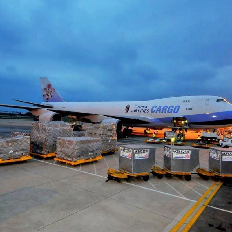 Professional shipping forwarder cargo ship express service courier from china to uk usa