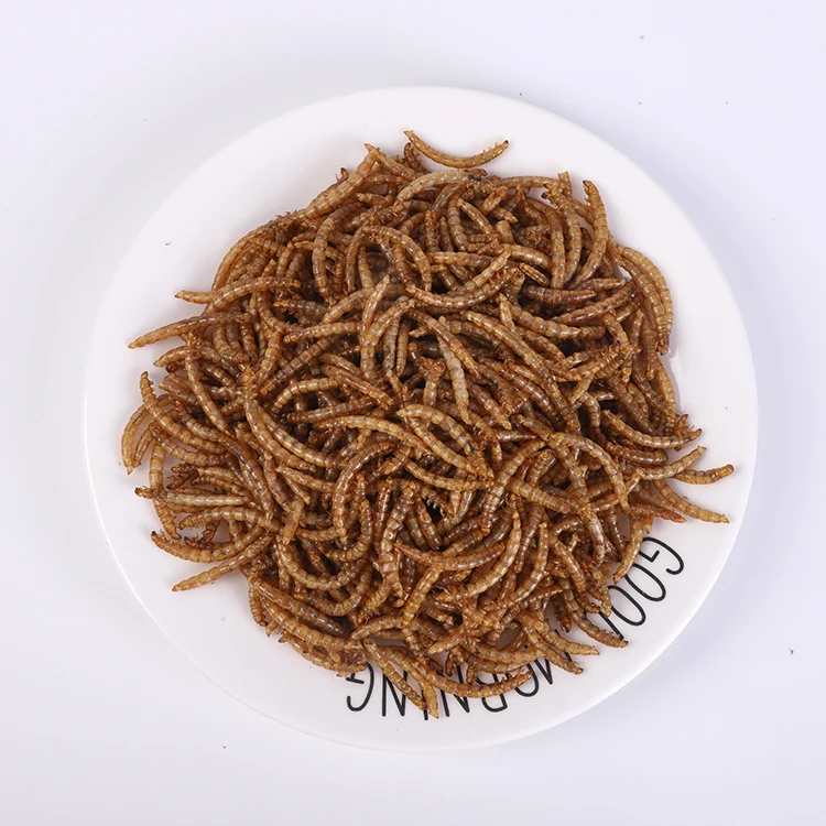 Factory Direct High Protein Larvae Rich Nutrition Edible Insects Dried Mealworm Birds Food Amphibians Aquatic Bait Wholesale