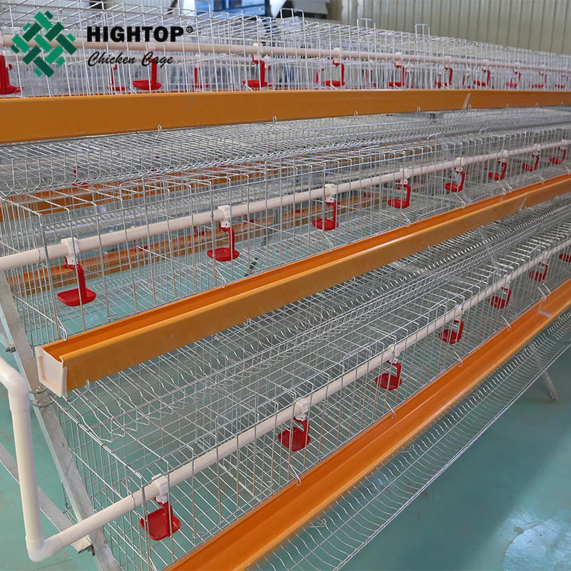 30 Years Lifetime Egg Hen Chicken Cage Layer Poultry Farm