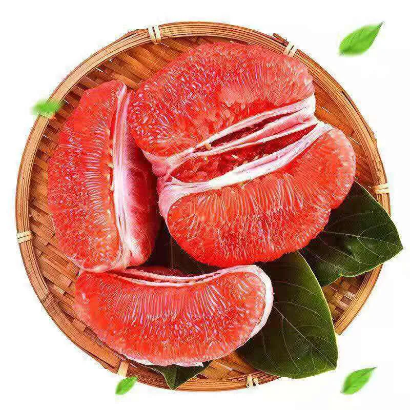 China Grapefruit High Quality Chinese Shaddock fresh Honey Pomelo