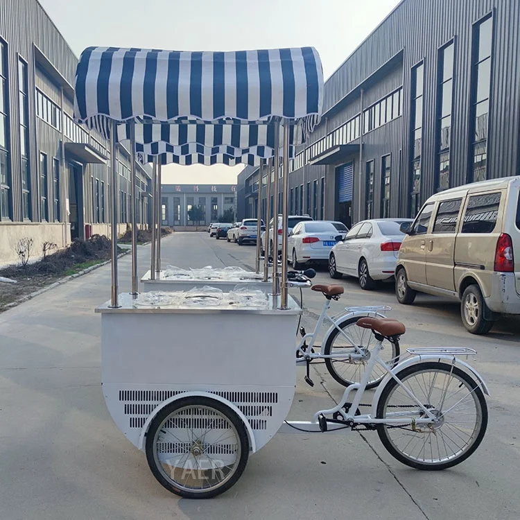 Cycle Ice Cream Cart and Gelato Bike with Freezer, Ice Cream Cycle Fashionable Hand Carts for Selling Fruit Juice on The Street
