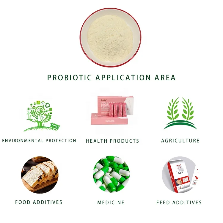 Best Price Probiotic Bifidobacterium Breve supplier China factory