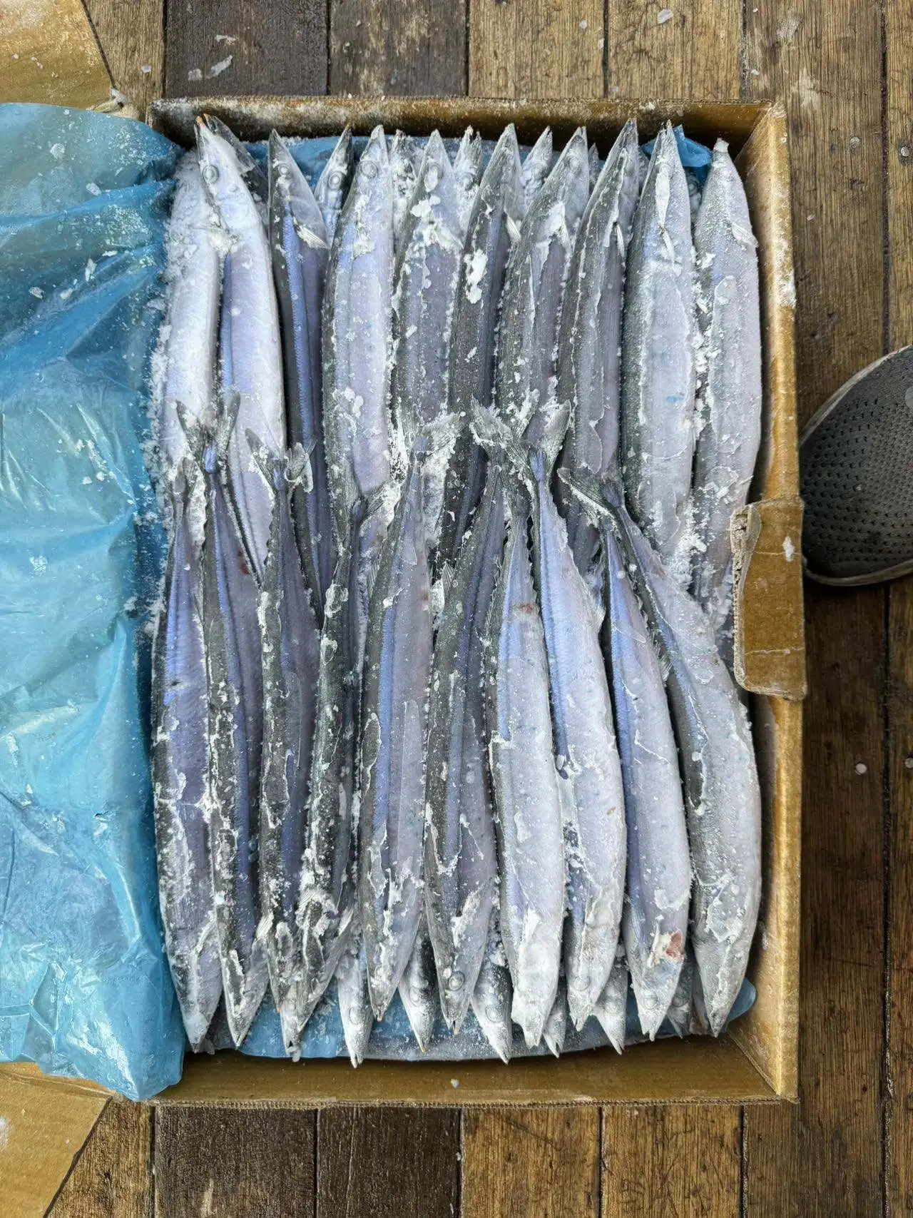 Factory Price Frozen Pacific Saury Fish Various Size Cololabis Saira