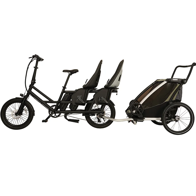 Cheap Modern 48V 500W Electric Cargo Bicycle Black Factory Supply Electric Bike