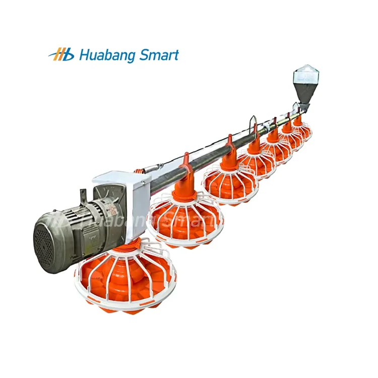 Automatic Feeder Poultry Feed Machine Layer Chickens Fully Auto Raising Equipment