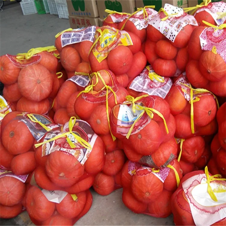 Manufacturer Tubular Mono Net Bags PE Leno Vegetable Mesh Bag Pe monofilament Mesh Bags